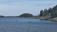 Stockholm (151)